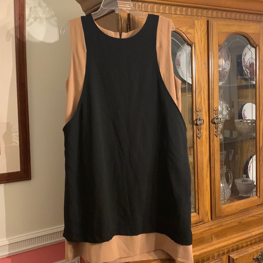 Black and Tan dress
